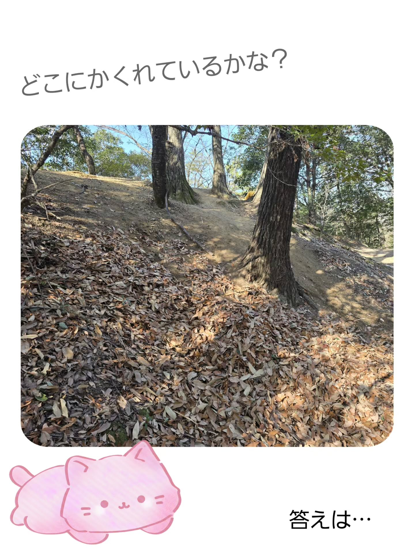 こんにちは！ゆうゆハウスです😊⁡